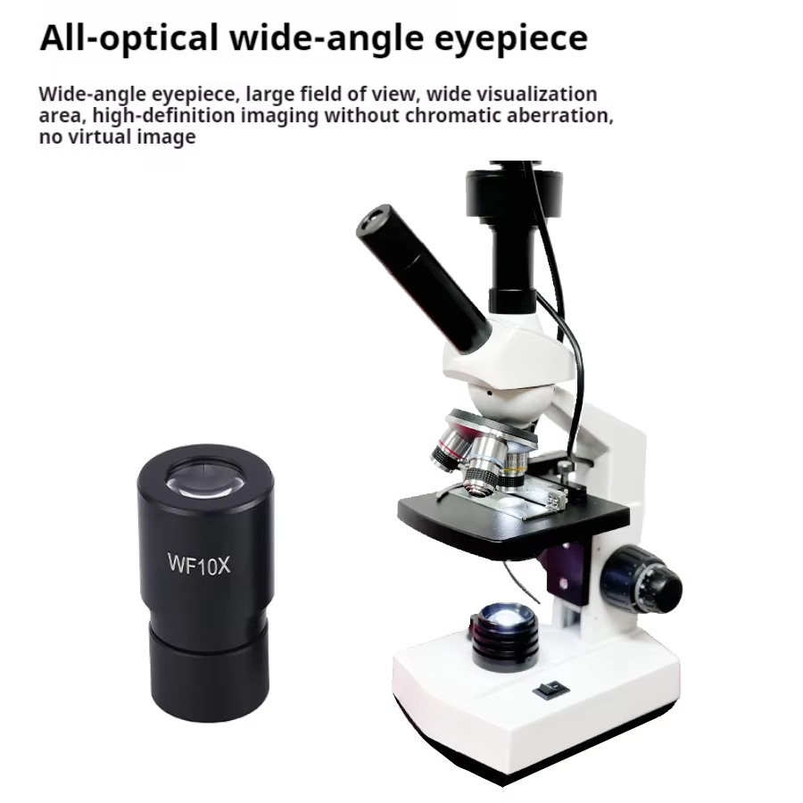 Top Selling HD Screen Digital  - Medical Lab Usa recension och pris
