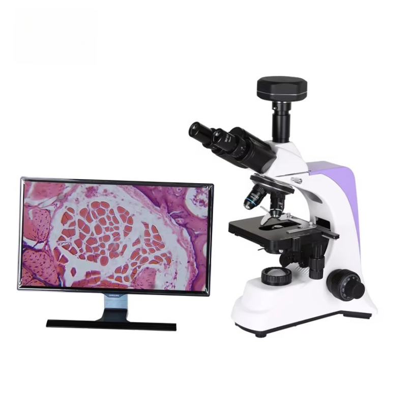 2026 Medical Lab Digital Biolo - Medical Lab Scientist recension och pris